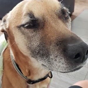 Meet your Posher, Carla